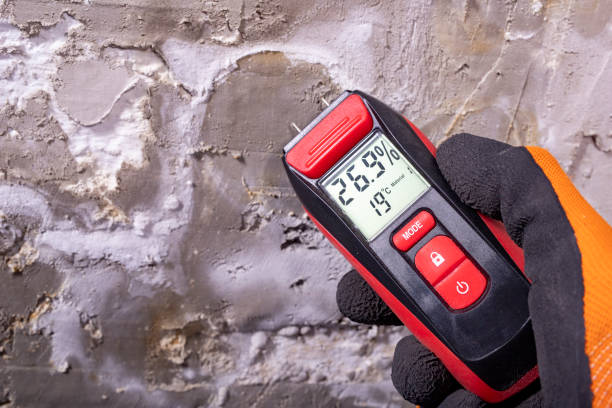 Best Local Mold Removal Service  in Dentsville, SC